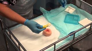 Wound Management  Basic Dressing [upl. by Lindemann]