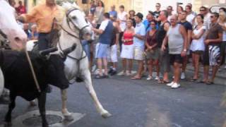 taureaux lachés dans les rues dEyguières [upl. by Ennovahs264]