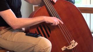 Upright bass in suitcase model [upl. by Esom869]