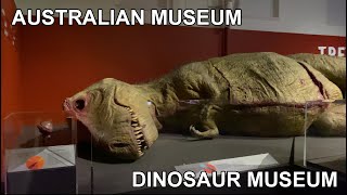 Australian Museum  Dinosaur Museum  4K Video [upl. by Francois362]