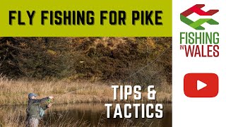 Fly fishing for pike  Tactics and tips [upl. by Osnohpla]