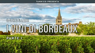 Vini terroir e storia di Bordeaux  Parte I  Tannico Flying School [upl. by Tuppeny]