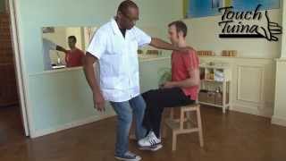 Touch Tuina How to treat back pain in seated [upl. by Wiltz]