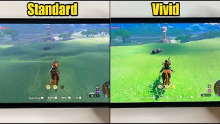 OLED Nintendo Switch Standard vs Vivid Color Screen Mode Comparison  Zelda Tears of the Kingdom [upl. by Lai137]