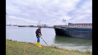 Port of Rotterdam contractor how to remove Japanese Knotweed near water without using chemicals [upl. by Midan666]