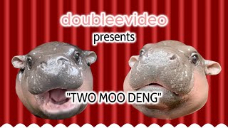 หมูเด้ง  Thailand Baby Hippo Moo Deng Viral Tiktok  Cute and Adorable [upl. by Hannavahs]