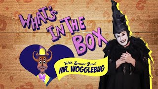 WHATS IN THE BOX EP 23 Mr Wogglebug [upl. by Gilbertina]