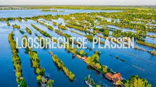 Loosdrechtse Plassen  Drone 4K [upl. by Barbabas]