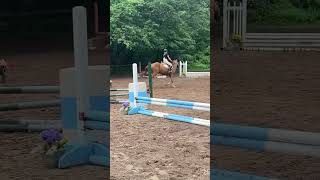 Deputy Spring Show 10924 Jumper Round [upl. by Eanerb]