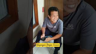 Goyangan Shopee Tanam [upl. by Nesyt]