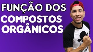 Função do Carboidrato Lipídio Proteína e da Vitamina │Aula 4  Biologia com Patrick Gomes [upl. by Berstine222]