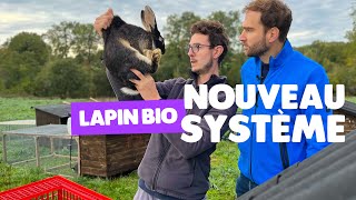 Installation innovante en élevage lapin bio [upl. by Veronika]