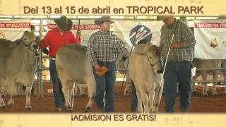 La Feria Internacional Agrícola Ecuestre y Ganadera de Miami [upl. by Sirama]