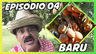 IMBILINO E OS FRUTOS DO CERRADO  EPISÓDIO 04 BARU [upl. by Baecher]