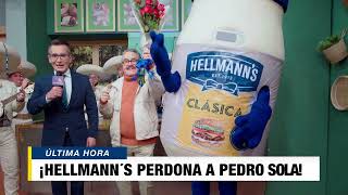 Hellmanns perdona a Pedrito Sola Publicidad [upl. by Oderfla]