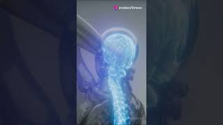 How to Ease Neck Pain at Home viralvideo facts neckpain [upl. by Zobias]