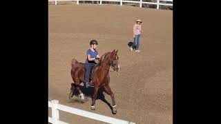 Horseback Riding Lesson October 19 2024 [upl. by Makell630]