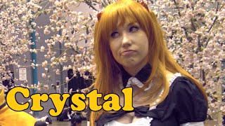 Crystal Maid Asuka Interview Anime Expo 2014 [upl. by Delphine]