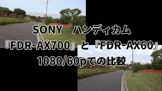 SONY ハンディカム『FDRAX700』と『FDRAX60』を108060p比較してみました [upl. by Blancha]