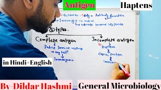 AntigenIncomplete Antigen Haptens [upl. by East494]