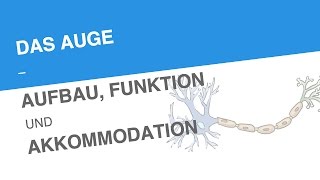 DAS AUGE – AUFBAU FUNKTION UND AKKOMMODATION  Biologie  Neurobiologie und Verhalten [upl. by Harrat]