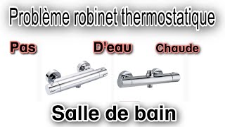 Problème mitigeur robinet thermostatique salle de bain pas d’eau chaude [upl. by Kelbee]