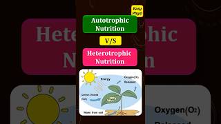 Autotrophic Nutrition vs Heterotrophic Nutrition Class 10 Chapter 1 [upl. by Aleehs]