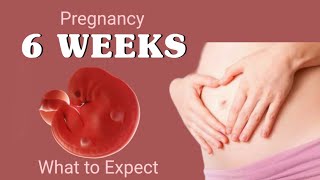 6 week pregnancy baby growthwhat to expect during week 6 of pregnancy6th week of pregnancy [upl. by Shutz]