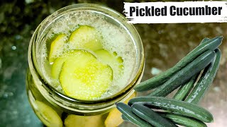 Make Your Probiotic At Home  Fermented Cucumber  Pickled Cucumber Recipe [upl. by Josselyn]