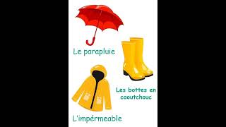 VÊTEMENTS DE PLUIE VÊTEMENTS DHIVER VOCABULAIRE FRANÇAIS shorts vocabulairefrançais vêtements [upl. by Ahteres785]