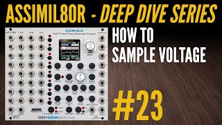 Assimil8or Deep Dive23How to Sample Voltage DC Coupled [upl. by Lebasy960]