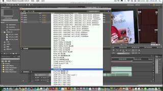 Adobe Media Encoder CS55 功能介紹 [upl. by Odlareg]