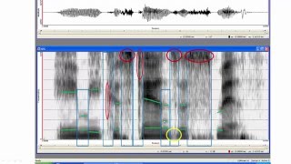 Step by step through a spectrogram [upl. by Cacie]