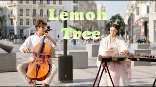 中西合璧｜Lemon Tree！古箏與大提琴一起刷新碰撞，刷新相遇Chinese Musical Instruments Guzheng Cover 碰碰彭碰彭Jingxuan [upl. by Scrope]