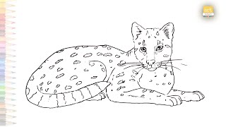 Oncilla drawing  Northern tiger cat drawing  How to draw Oncilla step by step  South America cats [upl. by Ranilopa]