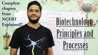 Biotechnology Principles and Processes class 12 NCERT in Hindiاردو [upl. by Sommers]