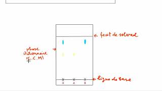 La chromatographie sur couche mince CCM [upl. by Namlak370]