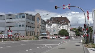 7 Bahnübergänge zwischen Radolfzell und Konstanz [upl. by Adaliah134]