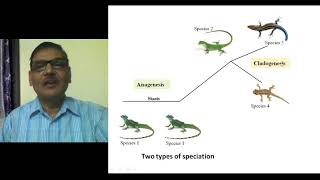 Modes of Speciation Formation of New Species [upl. by Gruchot]