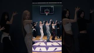 VIVIZ 비비지  Shhh Dance Practice Fix ver Highlight 2 [upl. by Hsina536]