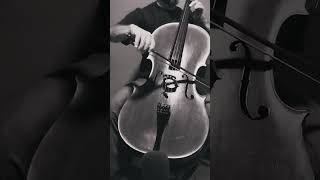 Kol Nidrei  Solo Cello  916  Cello en partes shorts [upl. by Karel]