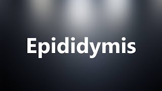 Epididymis  Medical Meaning and Pronunciation [upl. by Dorison816]