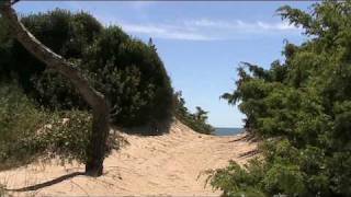 Le spiagge più belle del Salento Punta Prosciutto  Episodio 02 [upl. by August953]