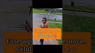 PASSEAR COM O CACHORRO EXIGE ATENÇÃO CUIDADO pets caes memes cachorros cães humor cachorro [upl. by Naawaj208]