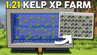 BEST 121 Kelp Farm JAVA  BEDROCK [upl. by Lazos]