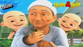 upin amp ipin  tanam sayuran [upl. by Yur]