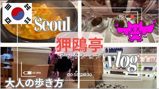 【韓国旅行vlog】穴場㊙️ネットより安い激安価格‼️有名なあのシャンプーがこんな所で買える‼️POPUPに行ったら驚愕のメニュー出てきた。 サムギョプサル 韓国 ソウル旅行 江南 狎鴎亭 ロデオ編 [upl. by Avan122]