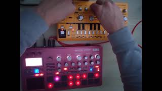 LIVE KORG ELECTRIBE  TD3  ACID TRIBECORE  Tabtek [upl. by Clementina]