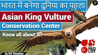 Worlds first Asian King Vulture Conservation and Breeding Center  Vulture  UPSC  Deep Concept [upl. by Trimmer]