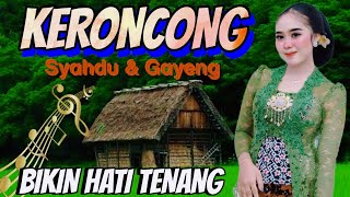 LAGU KERONCONG SYAHDU DAN GAYENG FULL PANORAMA ALAM YANG BIKIN SEJUK DI PANDANG [upl. by Pietrek570]